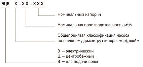 Структура описания моделей насосов ЭЦВ Структура описания моделей насосов ЭЦВ